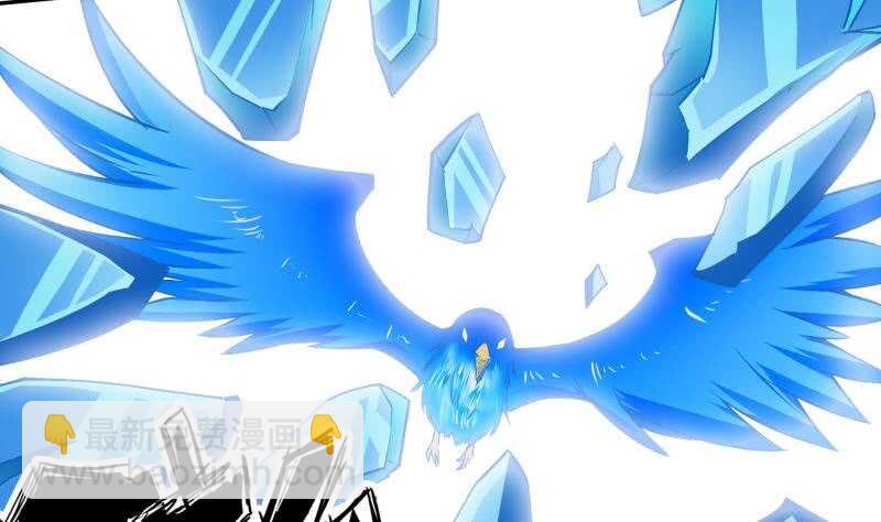 第213话 激斗-第213话