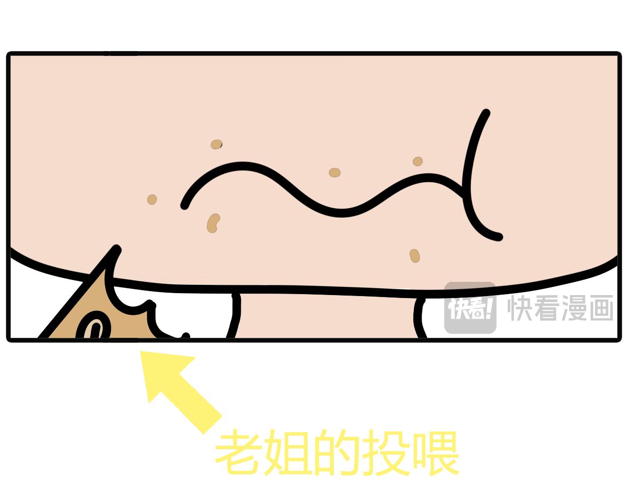 第八十九话：台风天-第87话