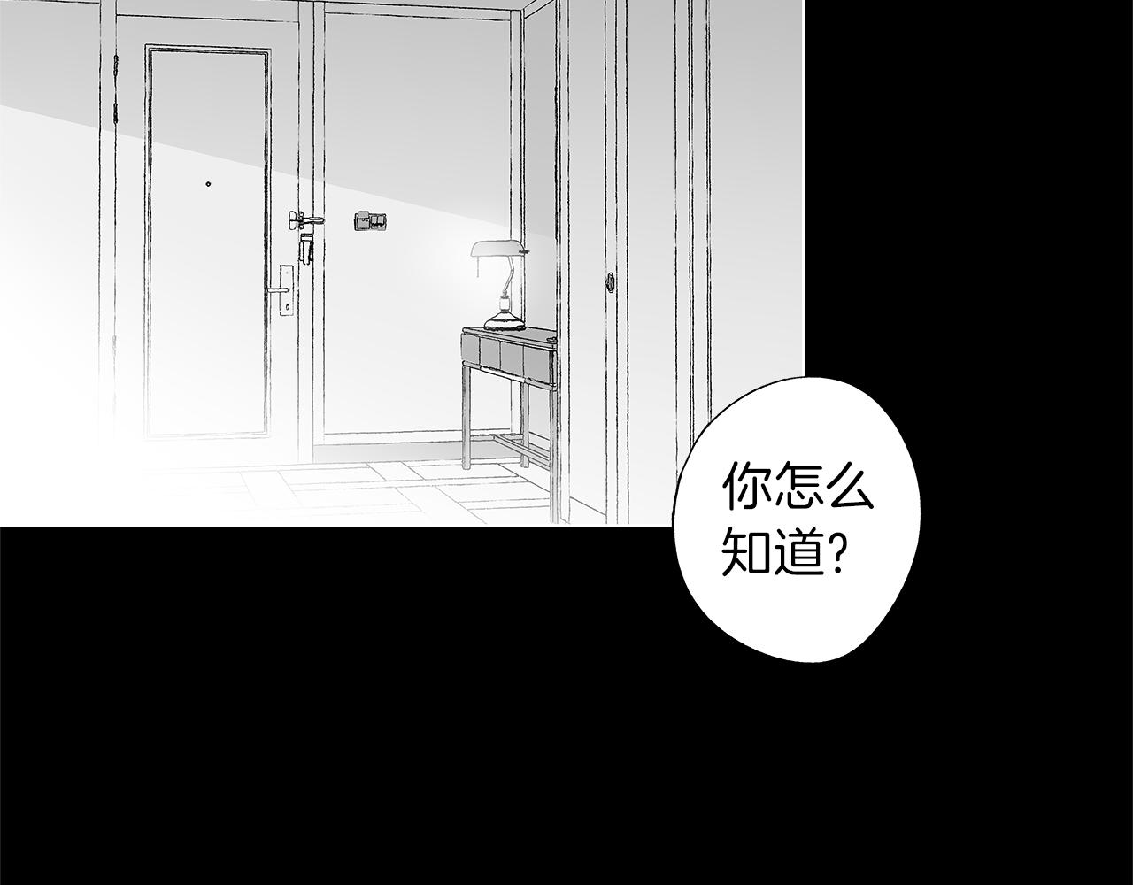 第50话 计划有古怪(1/3)-第51话