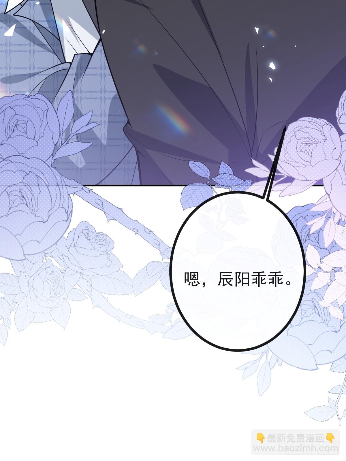 45-辰阳的真正实力(1/2)-第47话