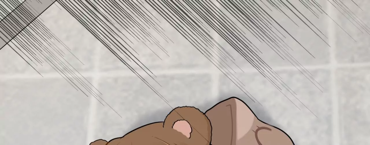 变回小熊？(1/3)-第15话