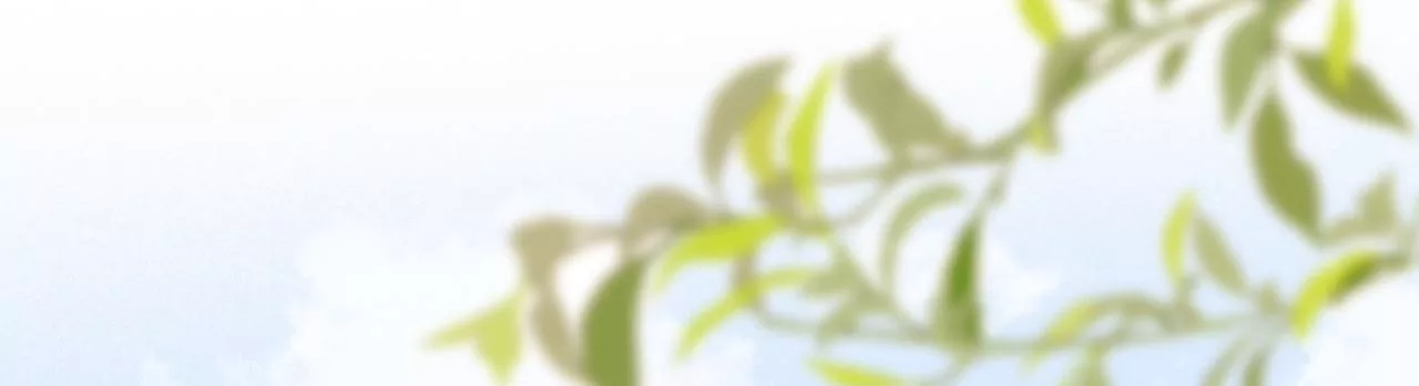 无人知晓的恋爱(1/3)-第55话