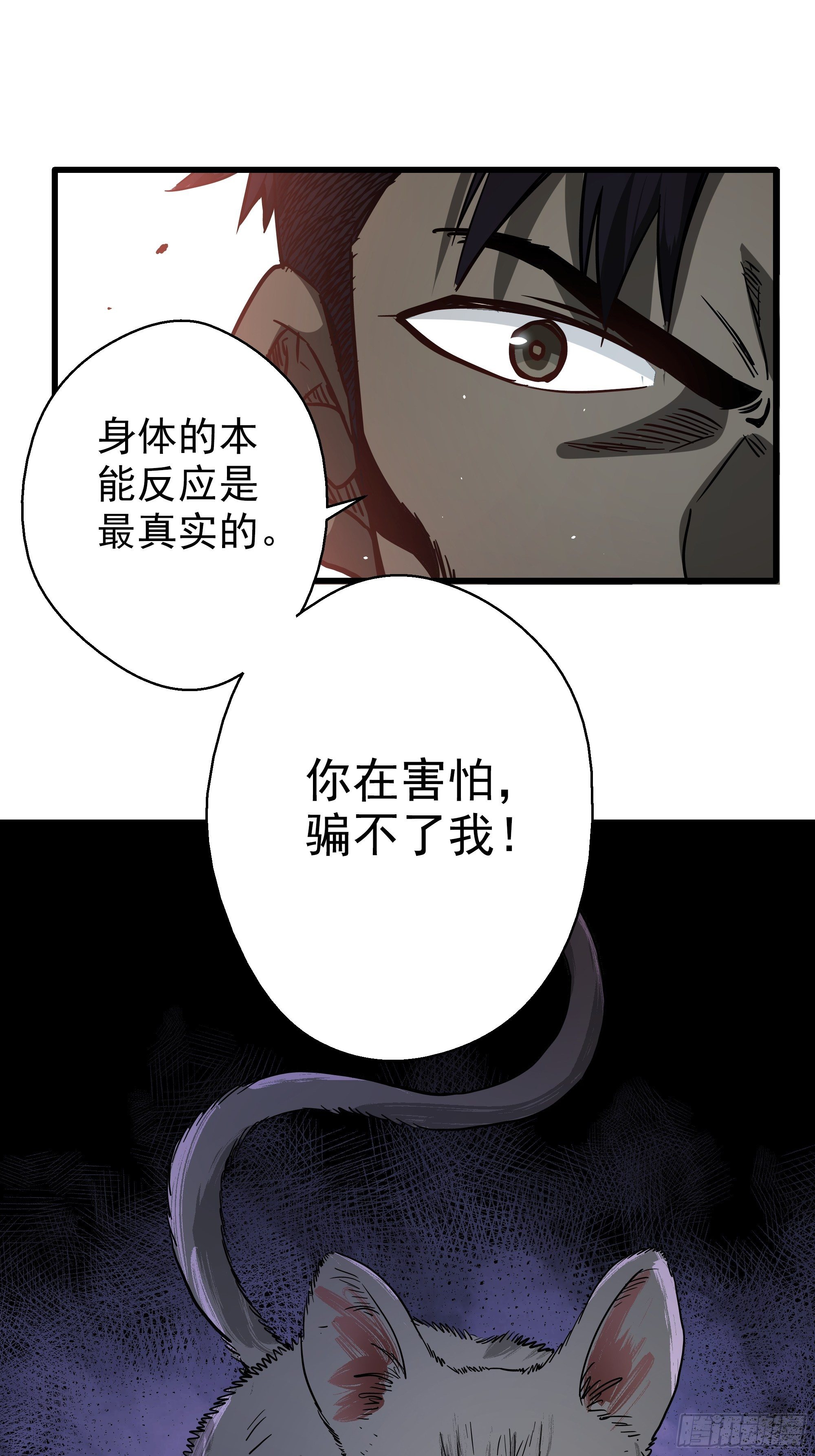 第35话 猫鼠大战-开眼-第37话