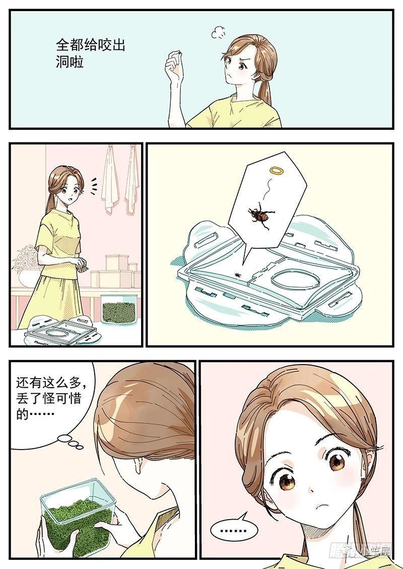 绿豆虫2