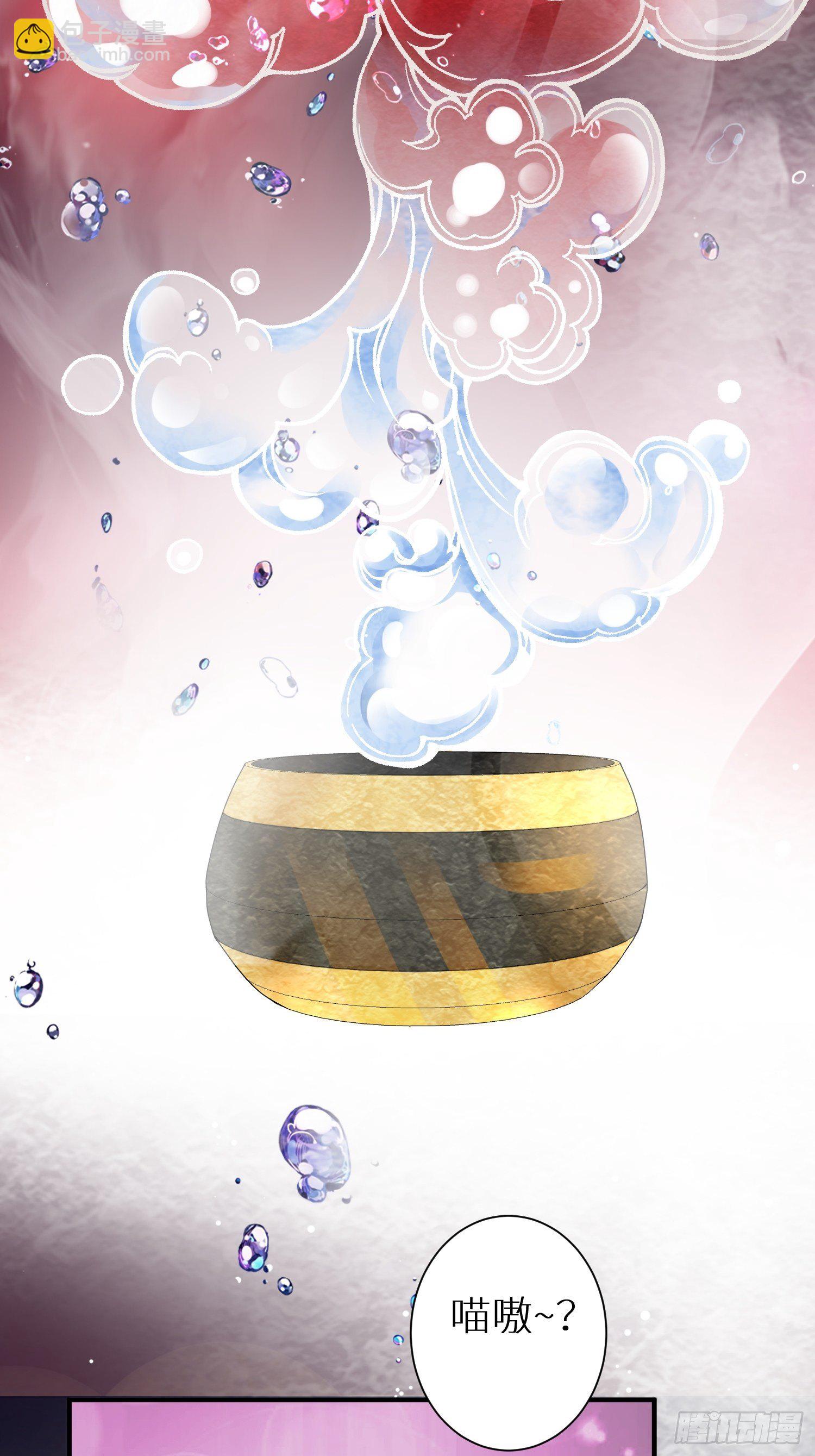 国庆番外之兔狲驯养指南-第93话