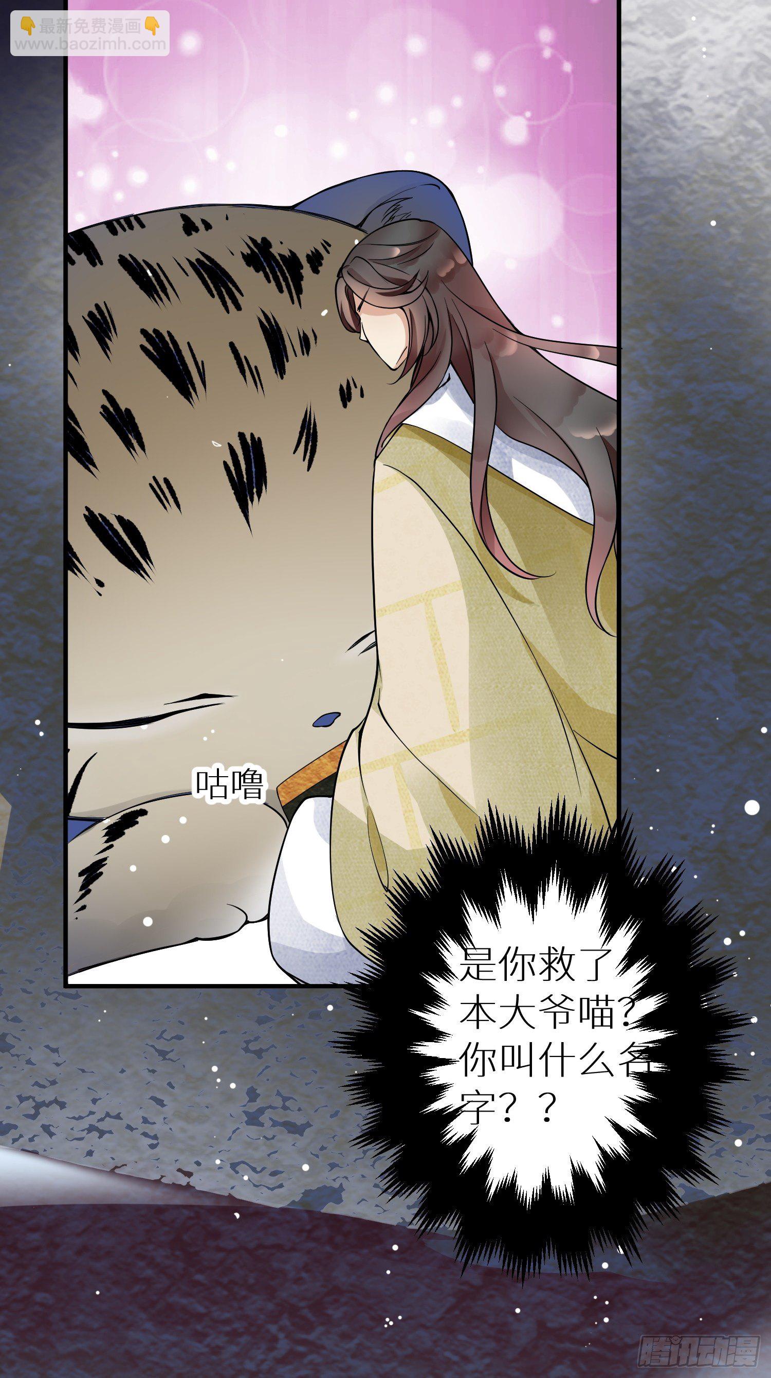 国庆番外之兔狲驯养指南-第93话