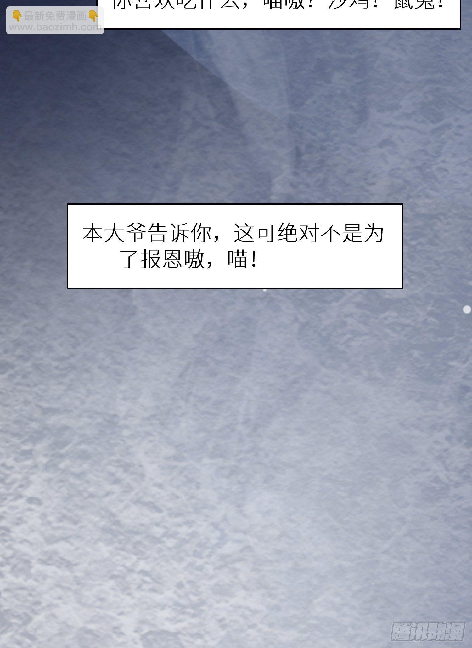 国庆番外之兔狲驯养指南-第93话