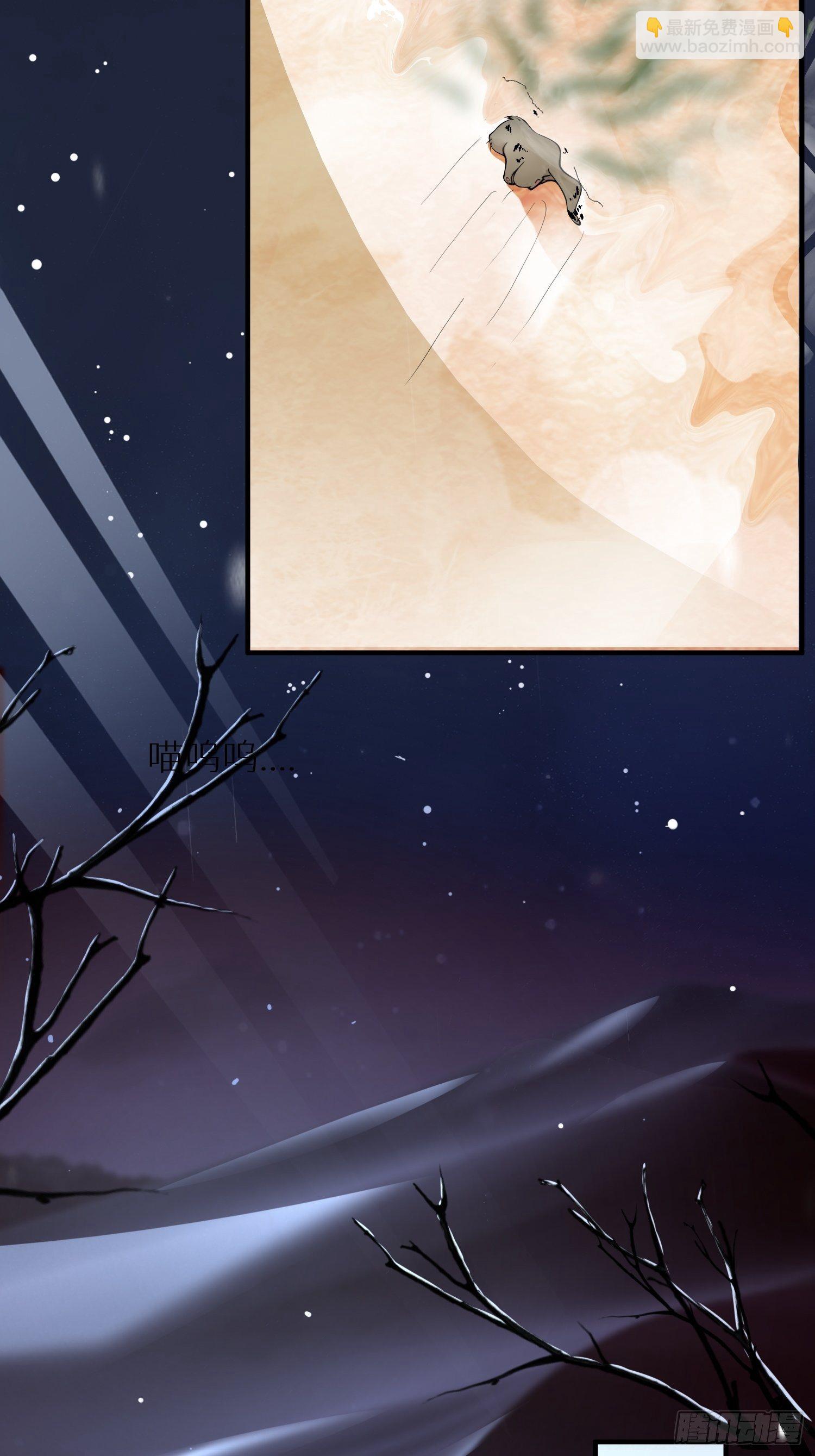 国庆番外之兔狲驯养指南-第93话