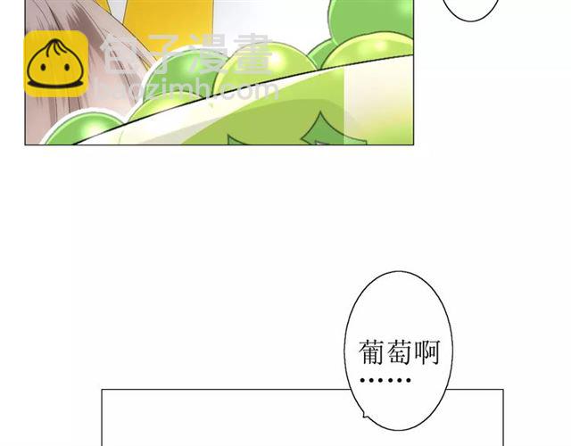番外2 绿葡萄之夜（下）(1/3)-第33话