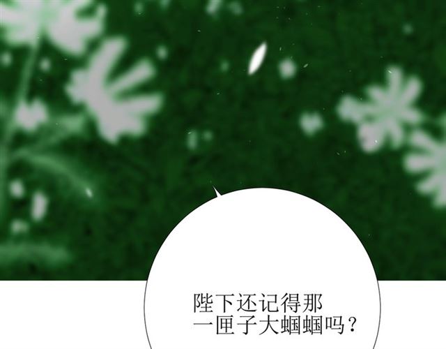 第72话 闯祸(1/3)-第81话