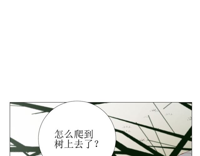 巫祝少女 - 第87話 生辰(1/3) - 6