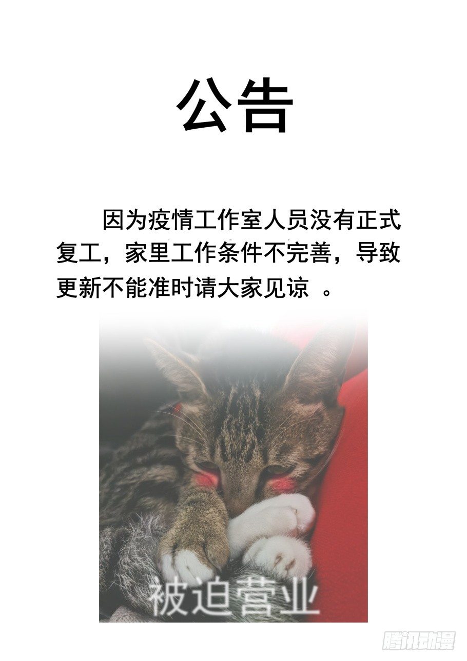 无罪之城 - 又现公告猫，期待疫情早结束！ - 1