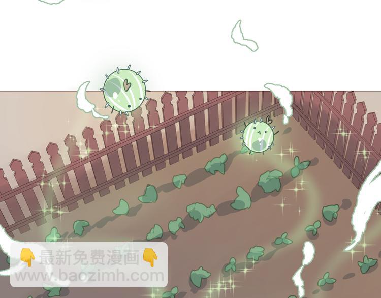 第4话 仙人掌能洗澡吗？(1/3)-第5话