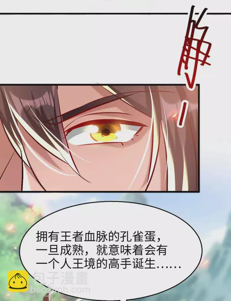 仙帝歸來 - 第229話 孔雀蛋 - 4