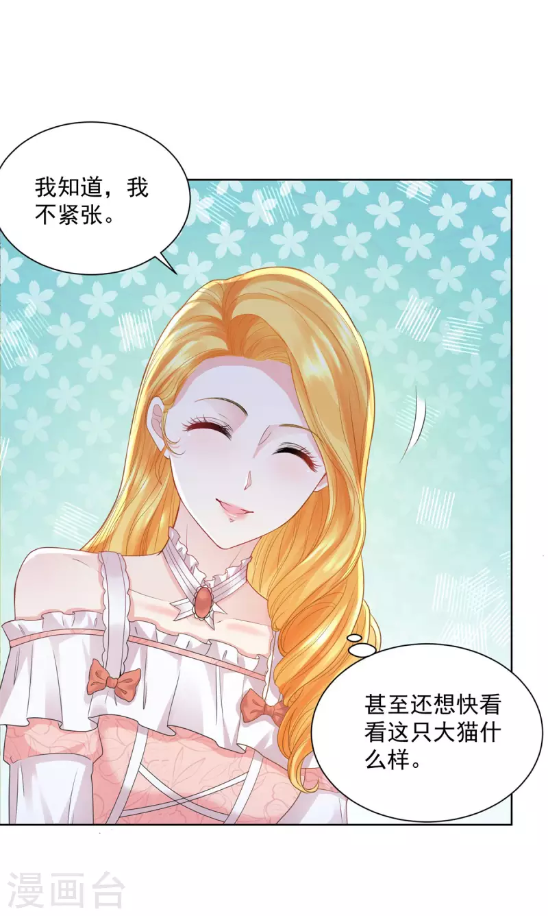 第129话 猫猫国王-第129话