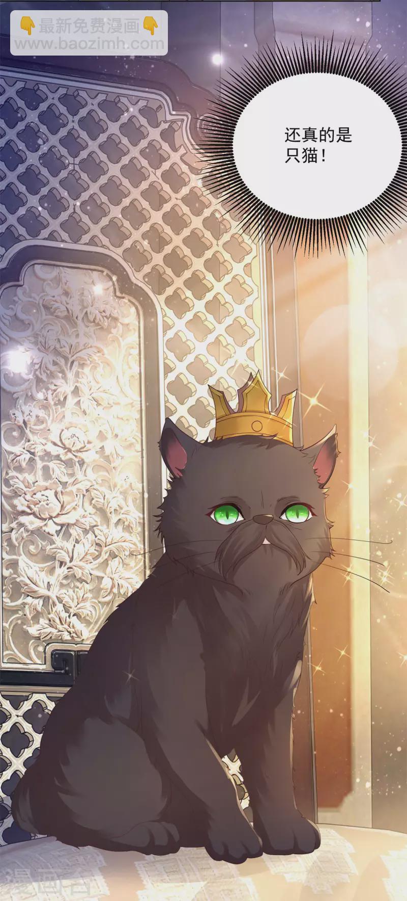 第129话 猫猫国王-第129话