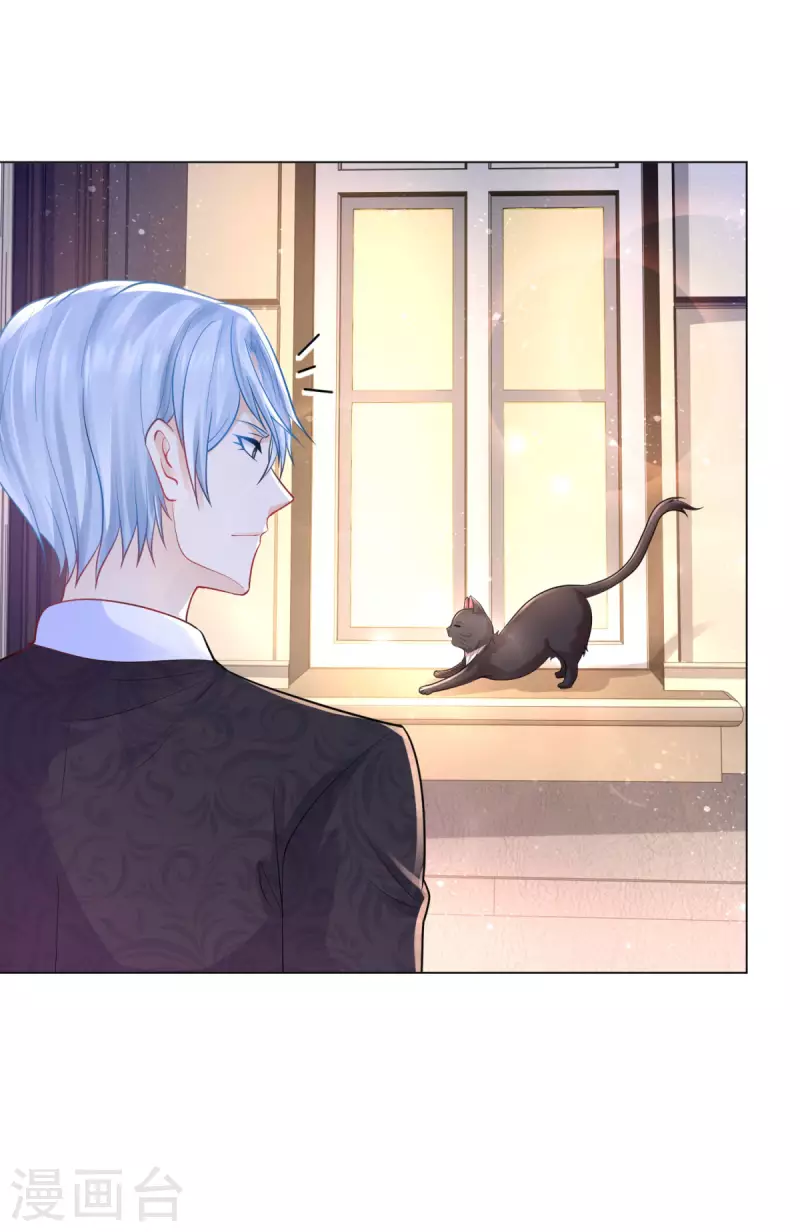 第165话 猫猫军团-第165话