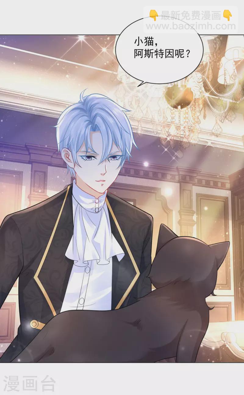 第165话 猫猫军团-第165话