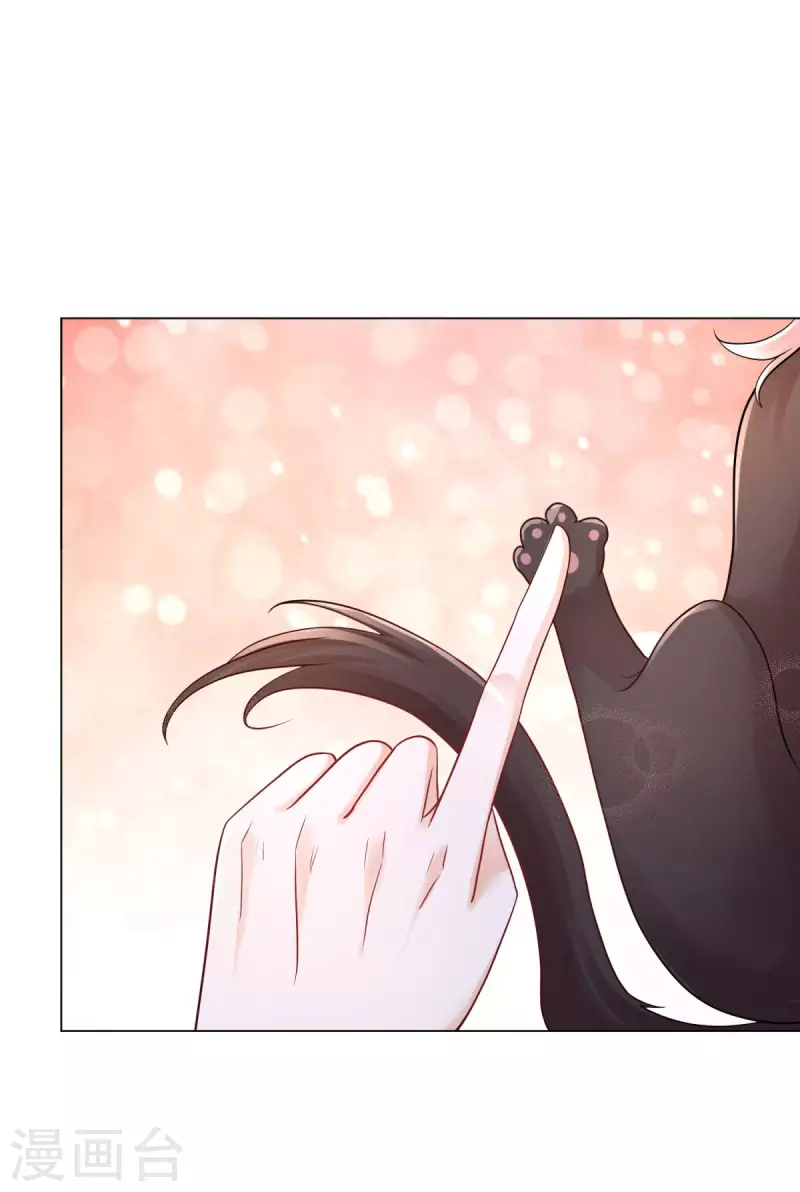 第165话 猫猫军团-第165话