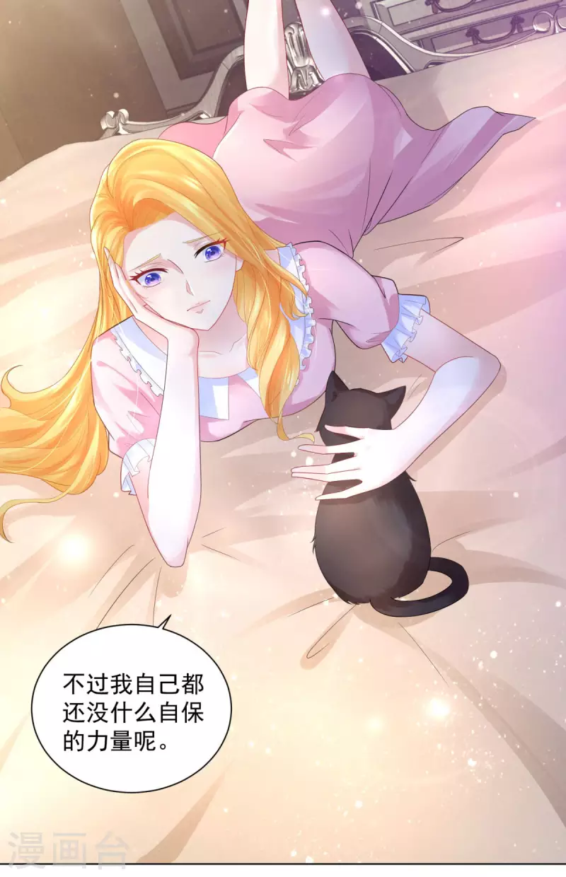 第165话 猫猫军团-第165话