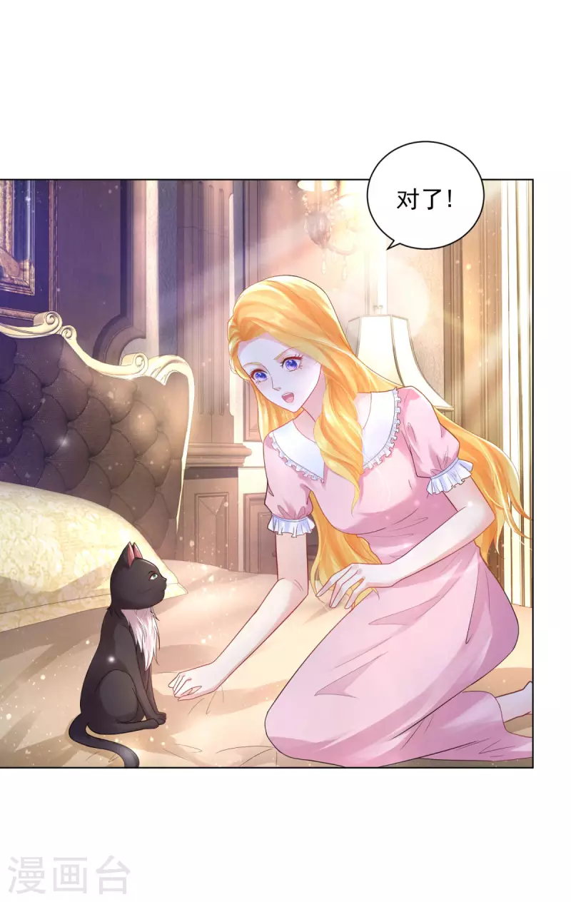 第165话 猫猫军团-第165话