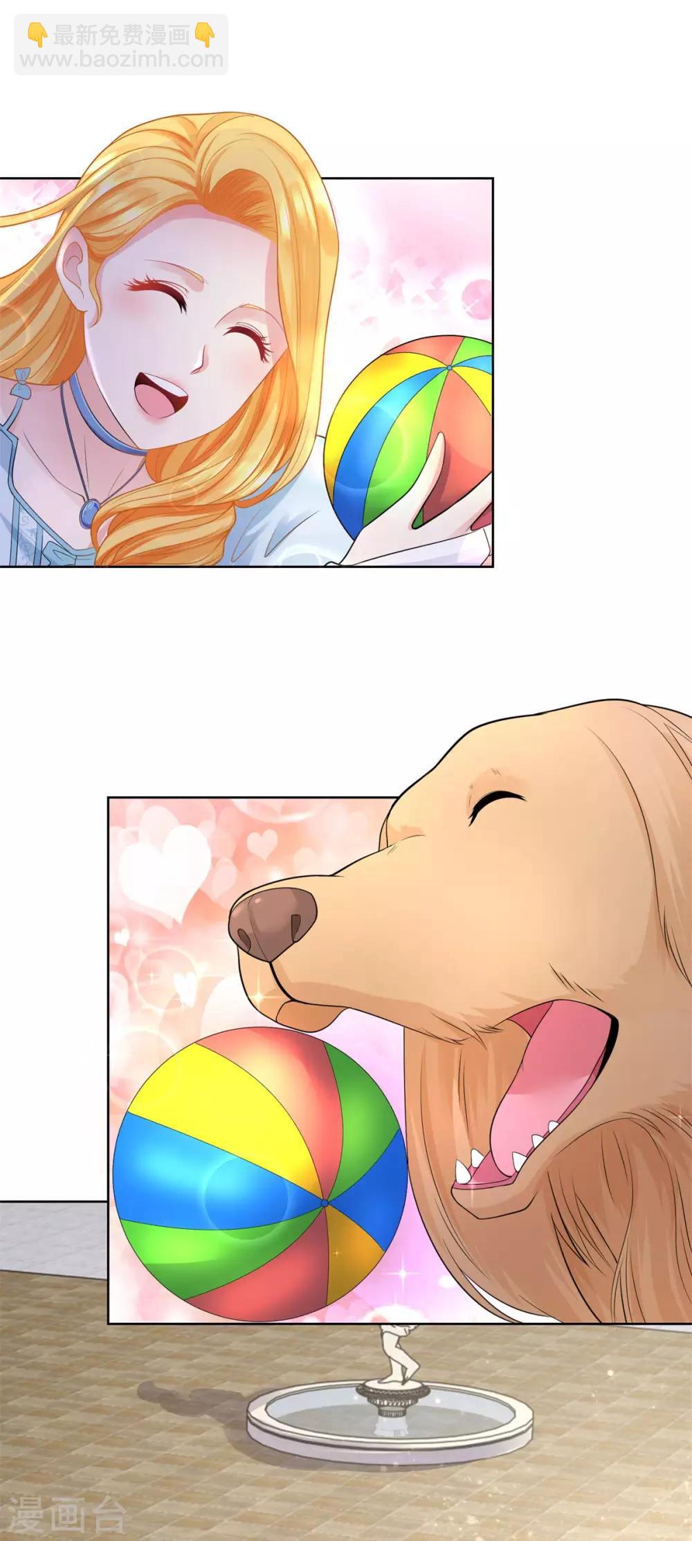 第45话 金毛寻回犬-第45话