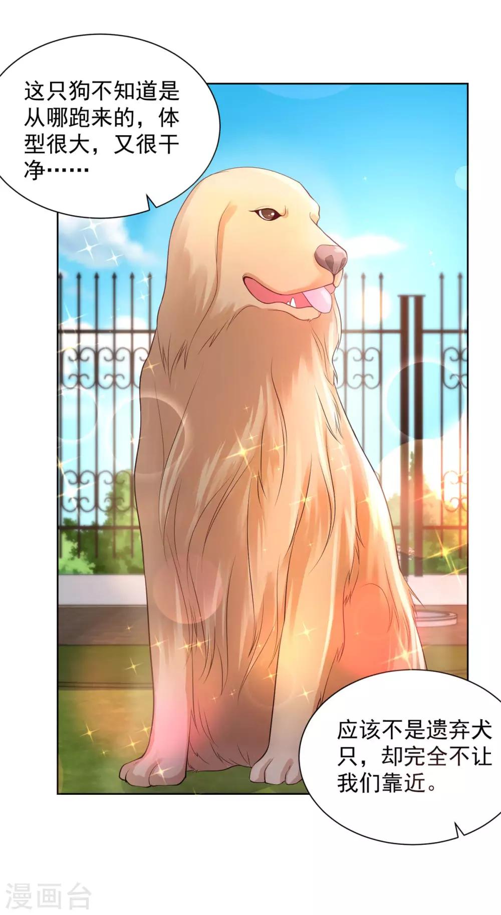 第45话 金毛寻回犬-第45话