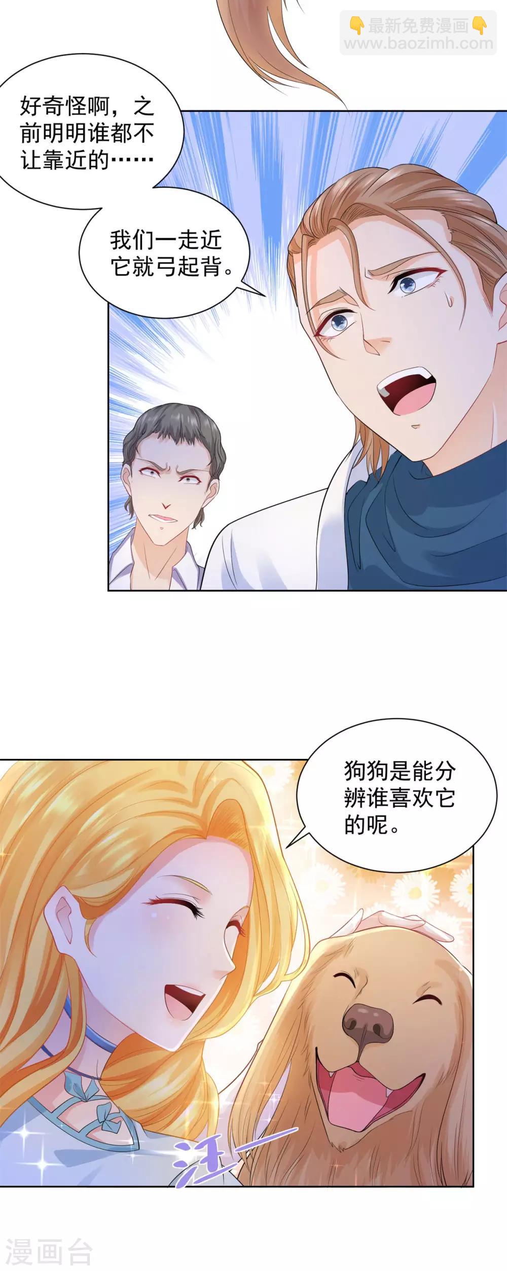 第45话 金毛寻回犬-第45话