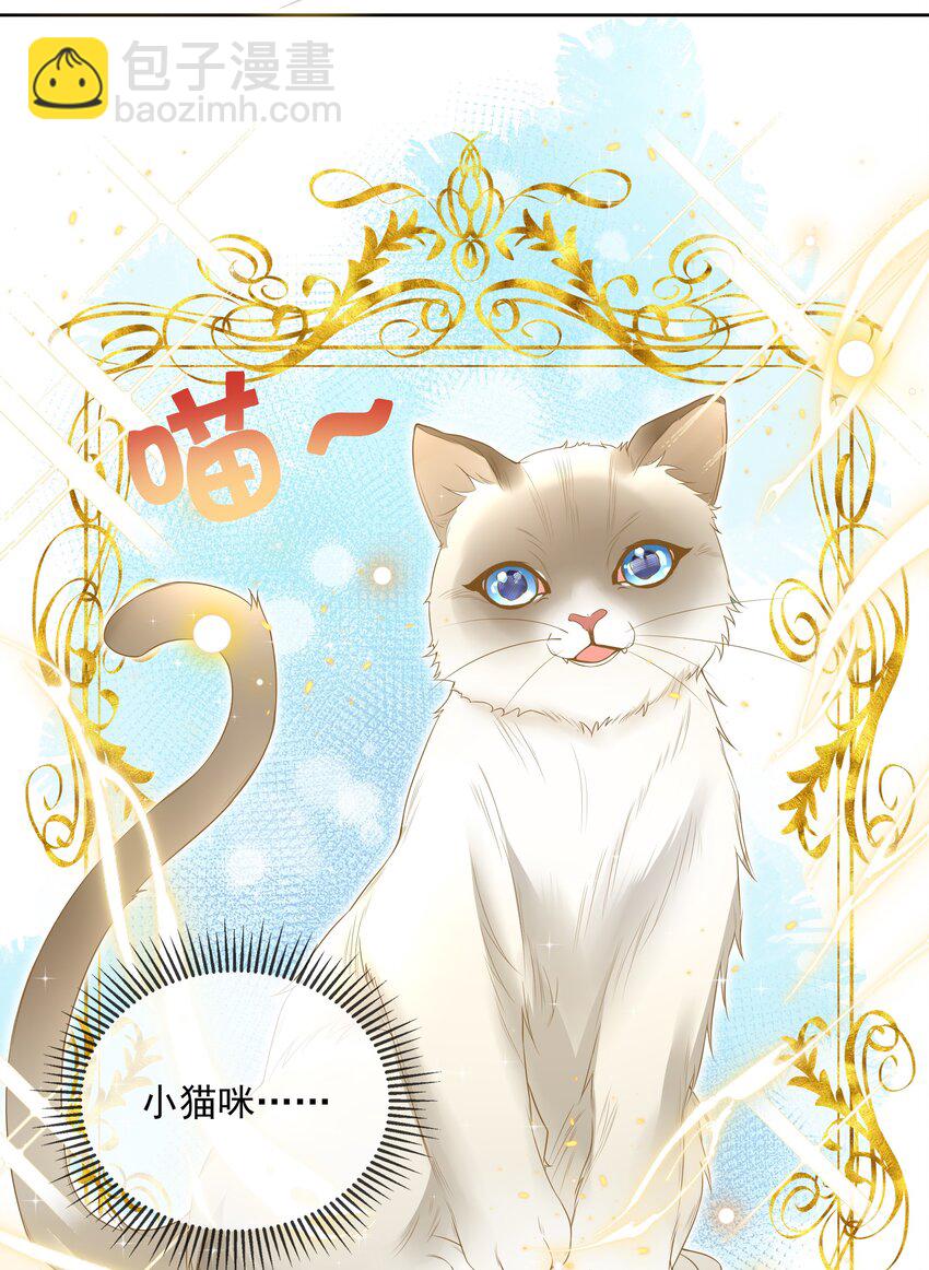 008 小猫咪~-第9话