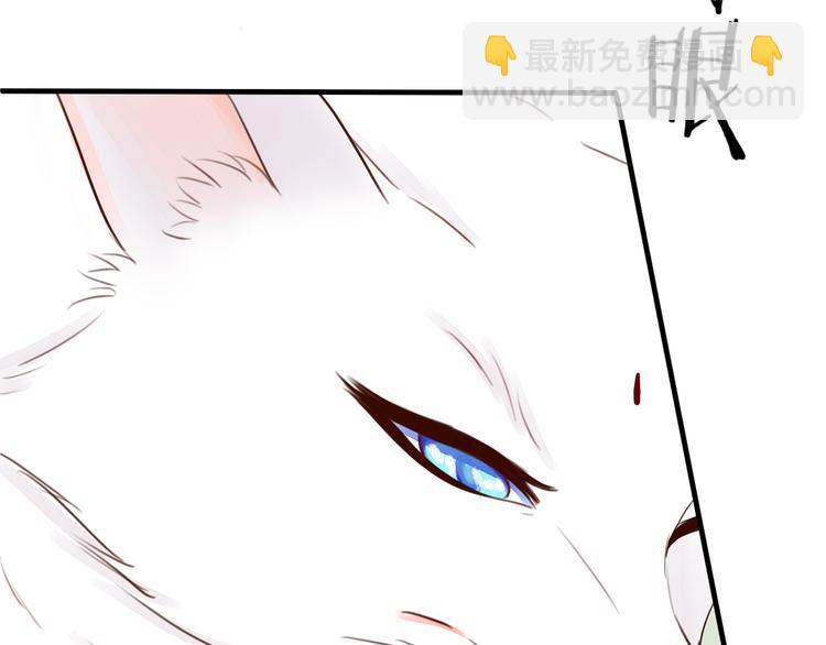 第3话 再次相遇(1/2)-第3话