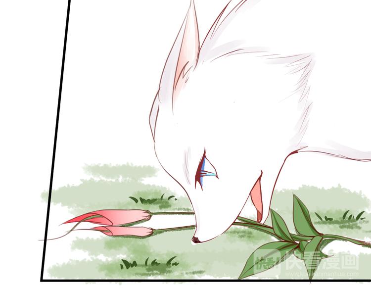 第3话 再次相遇(1/2)-第3话