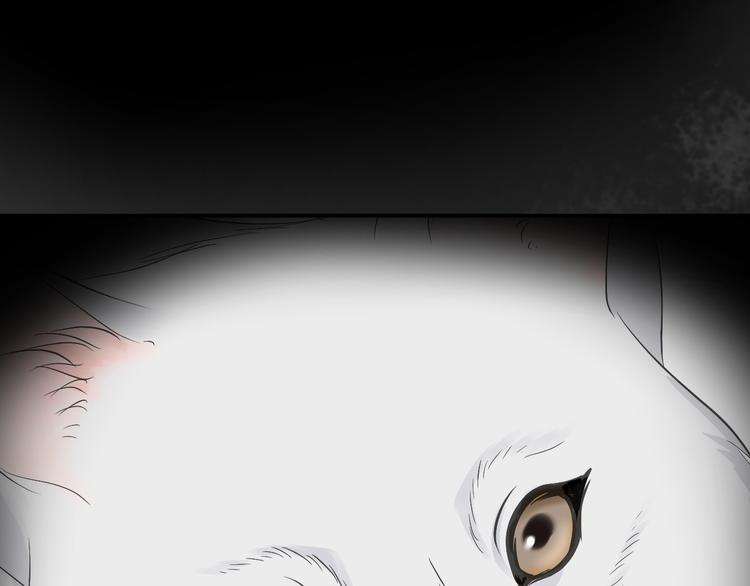 第三十一话-第31话