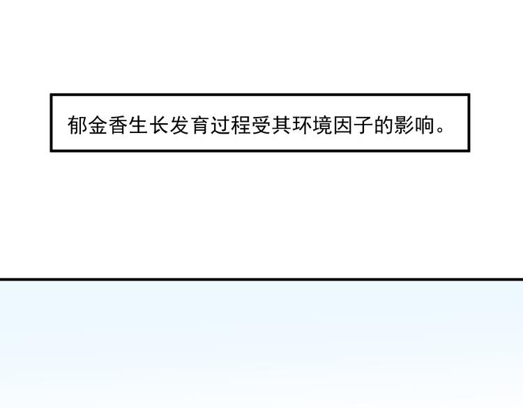 第9话 无尽的爱(1/2)-第9话