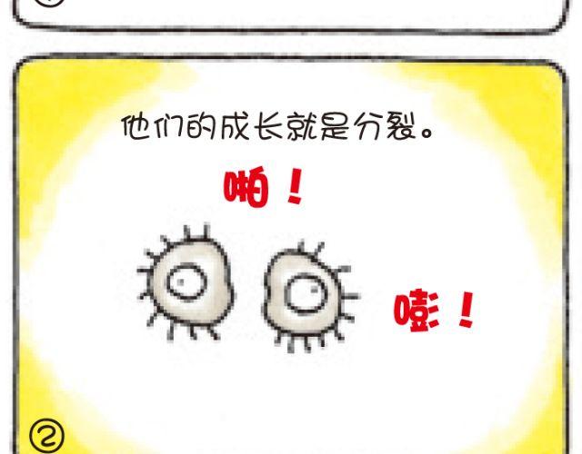 第45话 生命的河流-第45话