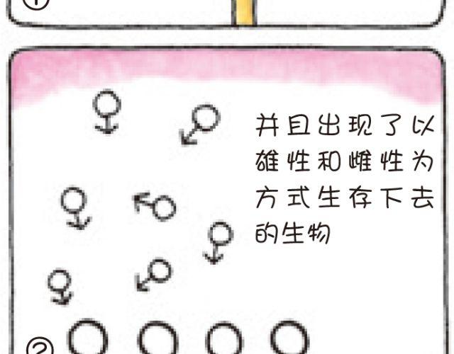 第45话 生命的河流-第45话