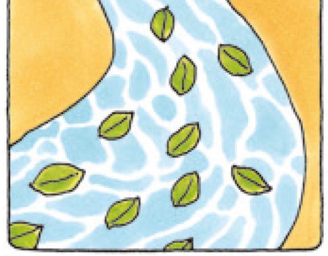 第45话 生命的河流-第45话