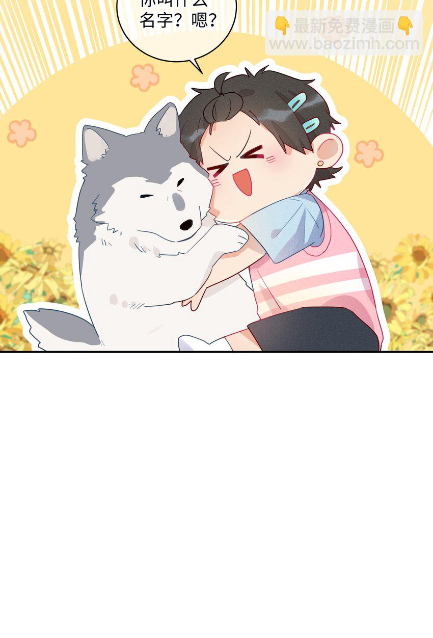 番外 狼的心愿(1/2)-第33话