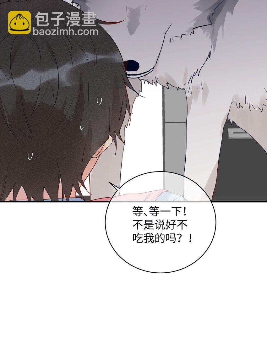 番外 狼的心愿(1/2)-第33话
