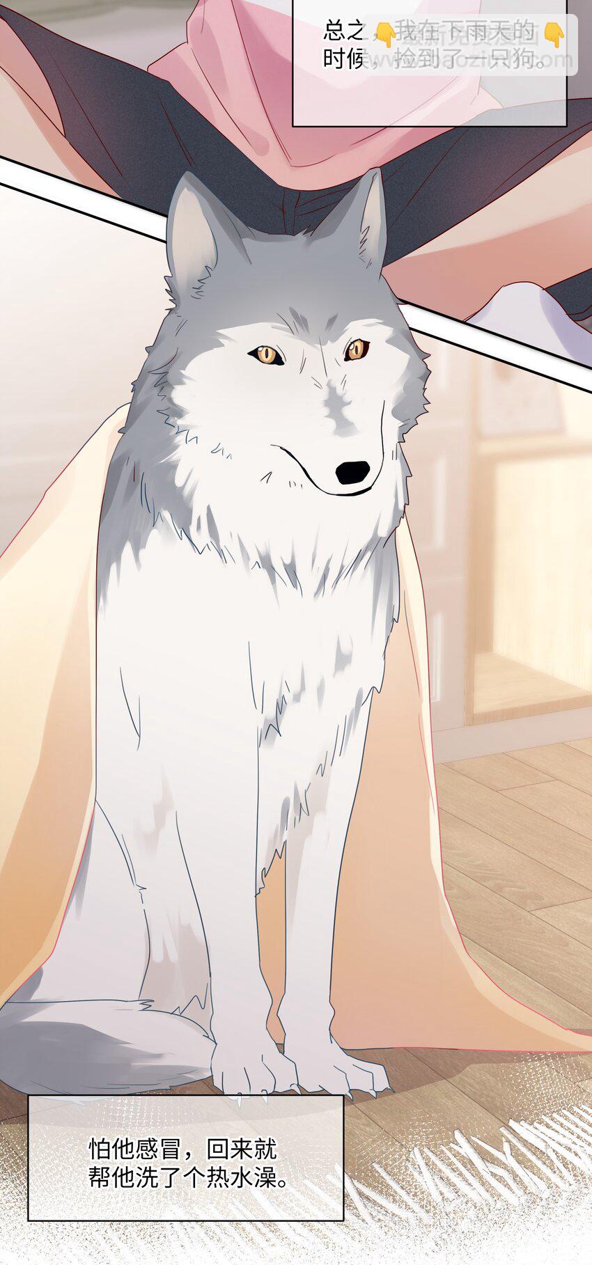 番外 狼的心愿(1/2)-第33话