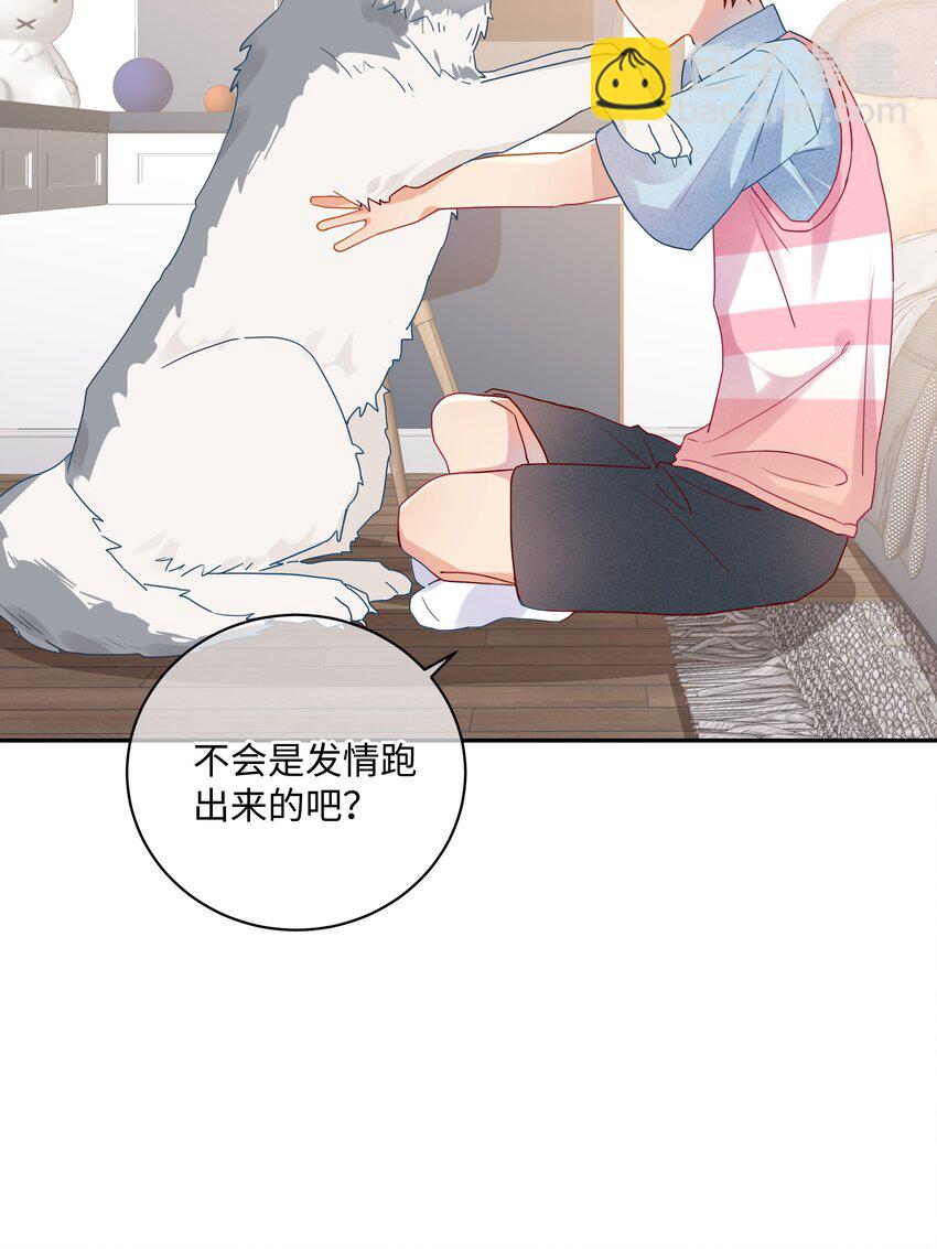 番外 狼的心愿(1/2)-第33话