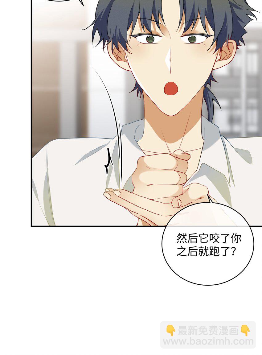 番外 好事将近-第35话