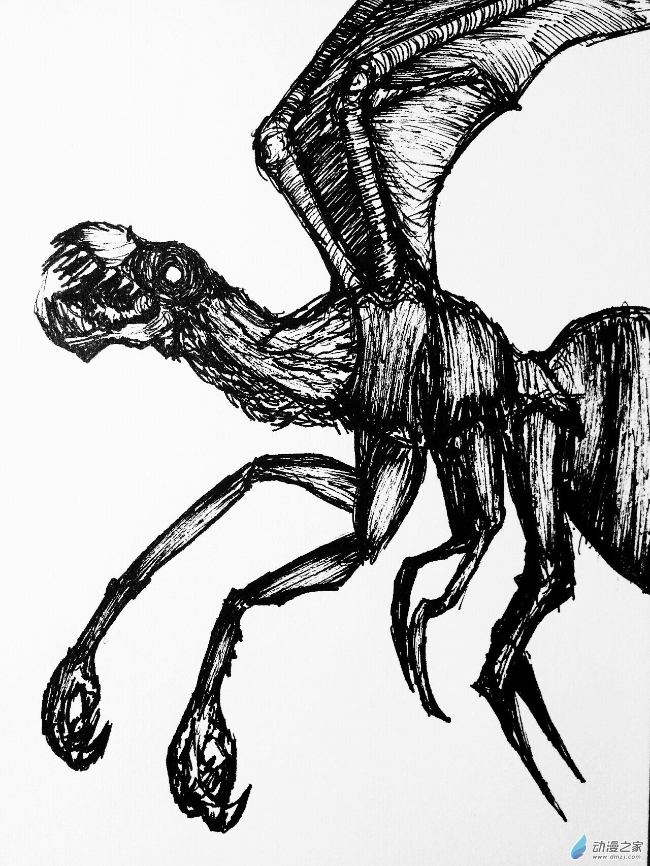 12 拜亚基-第11话