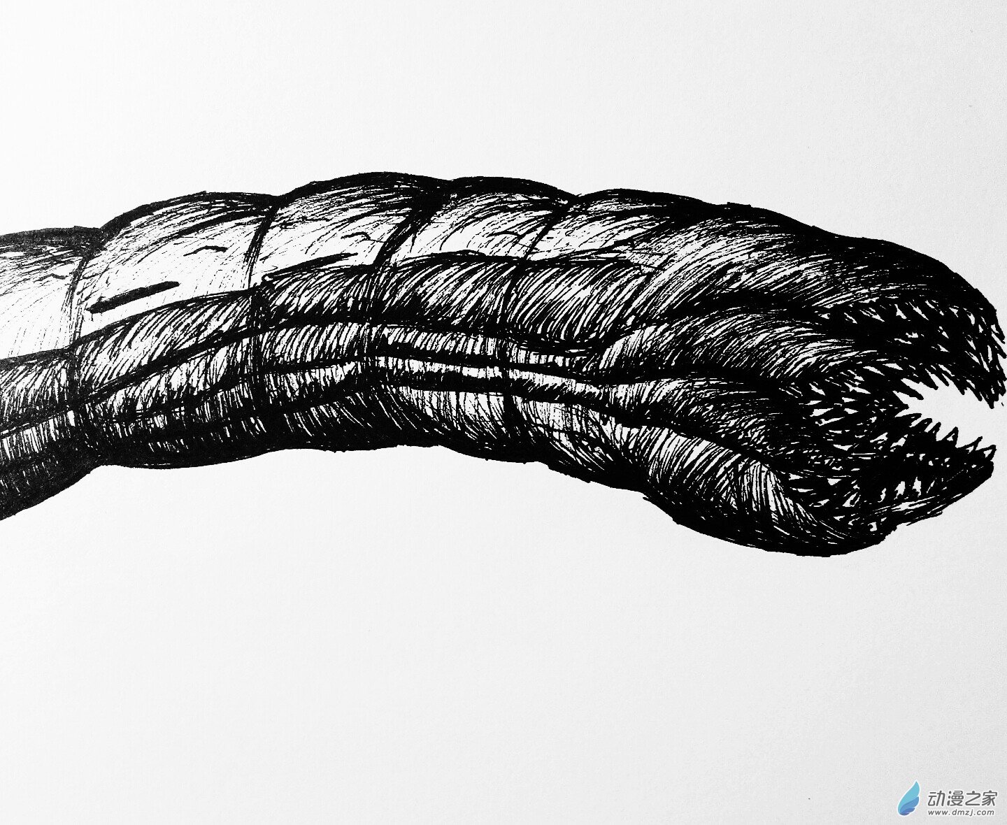 14 巨噬蠕虫-第13话