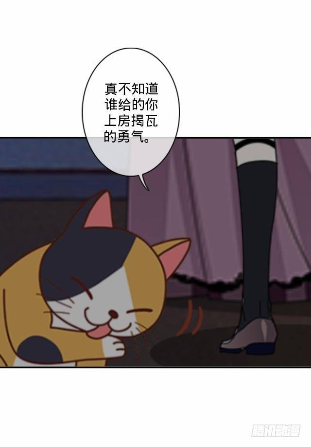 怕猫篇（中）-第15话