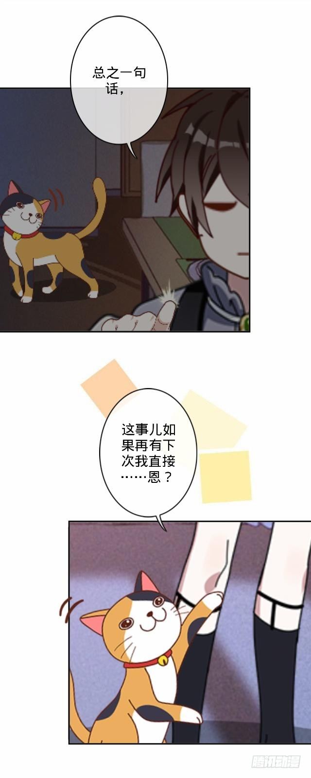 怕猫篇（中）-第15话