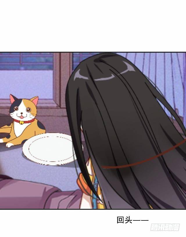 怕猫篇（中）-第15话