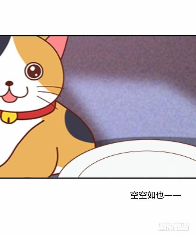 怕猫篇（中）-第15话