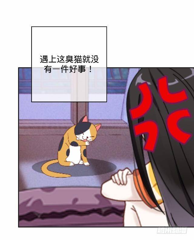 怕猫篇（中）-第15话