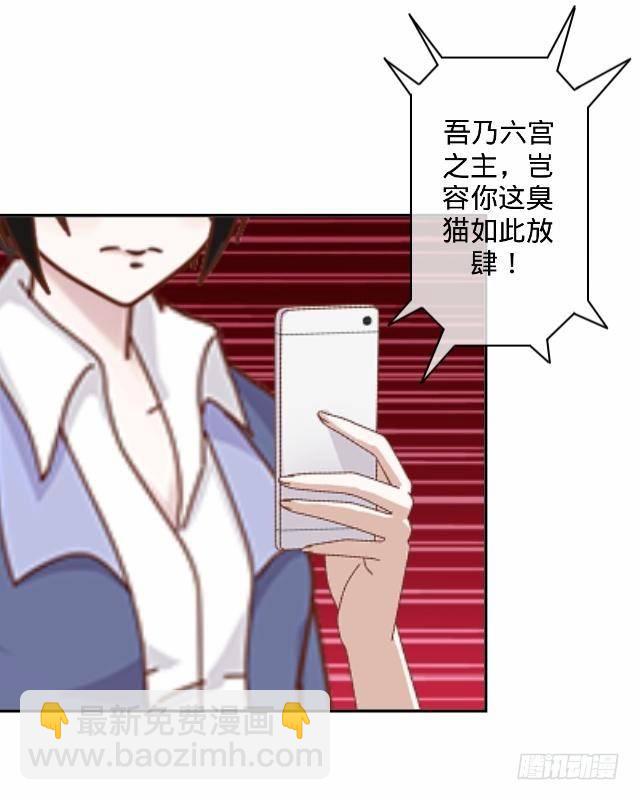 交易达成猫指路-第17话