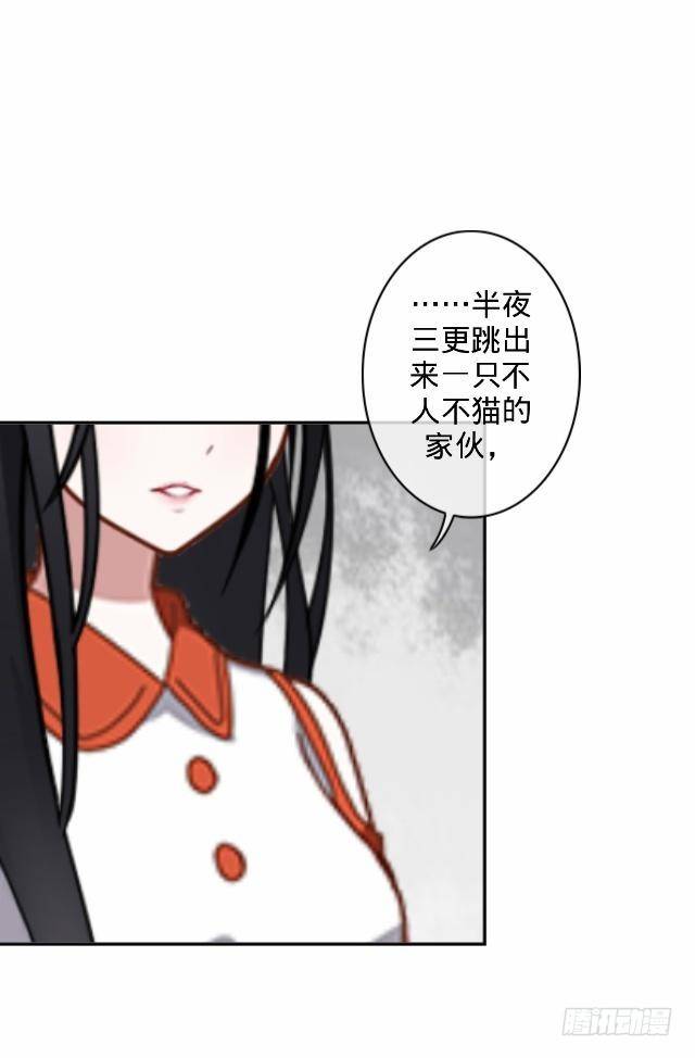 交易达成猫指路-第17话